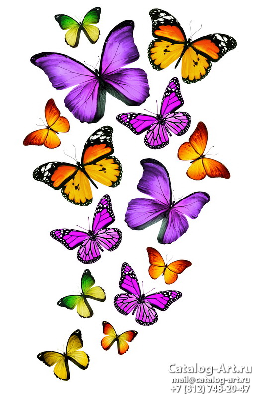  Butterflies 38